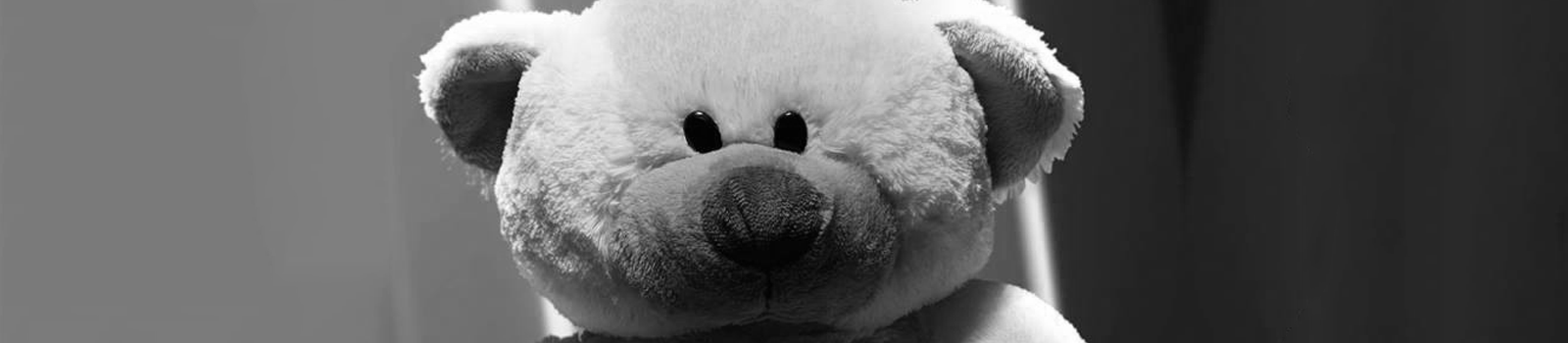 Urso de Peluche