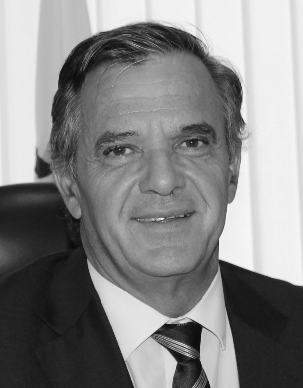 TELMO PINTO