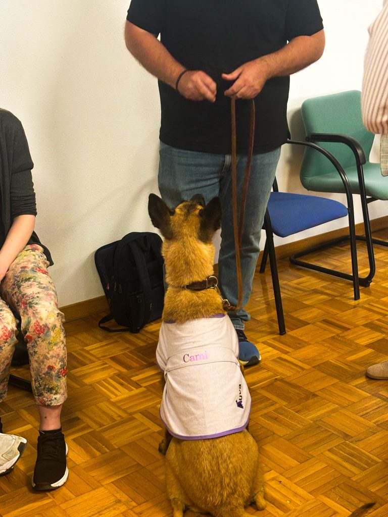 WhatsApp Image 2025 04 08 at 15.40.26