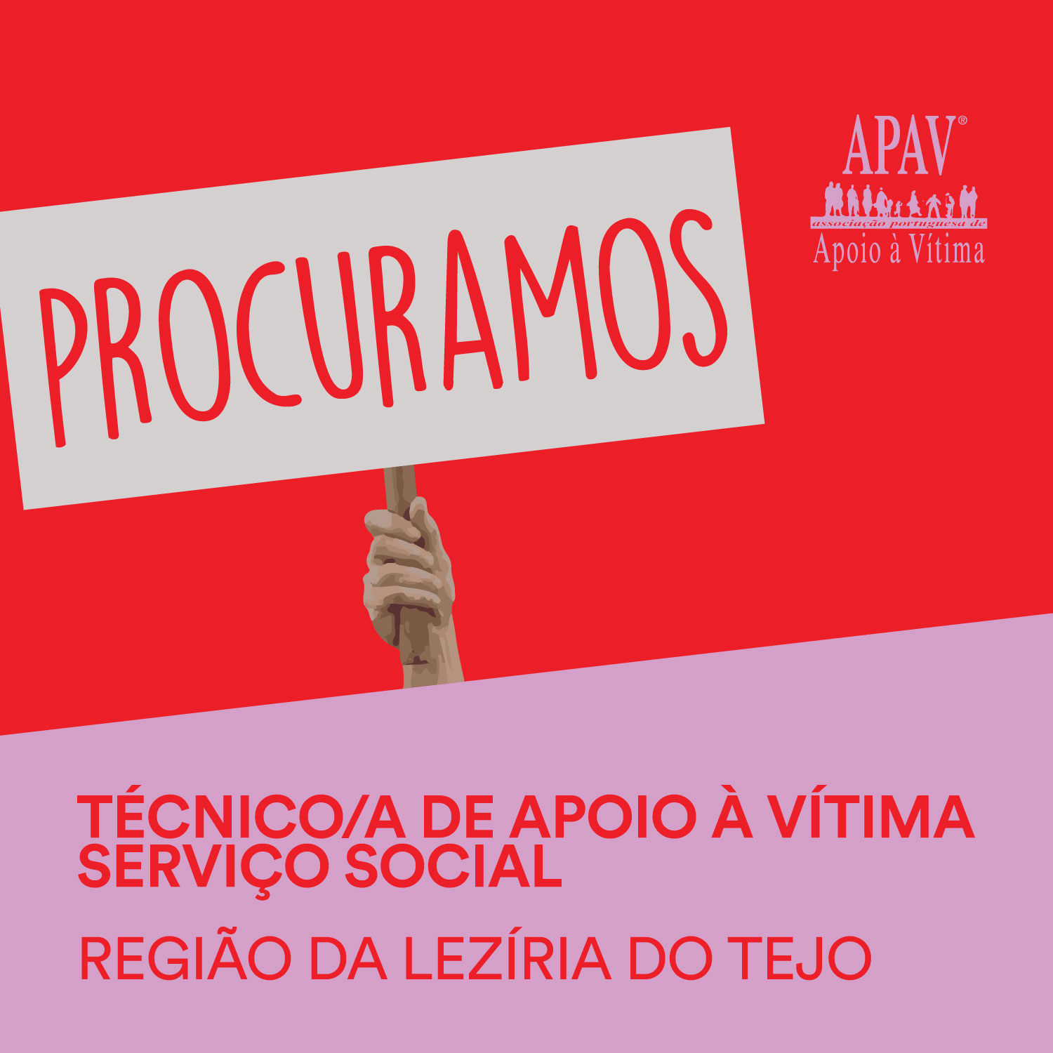 procuramos2025 tav ss lztj