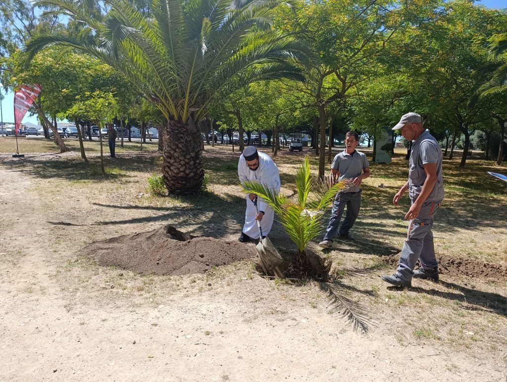 PHOTO 2025 06 26 16 25 56