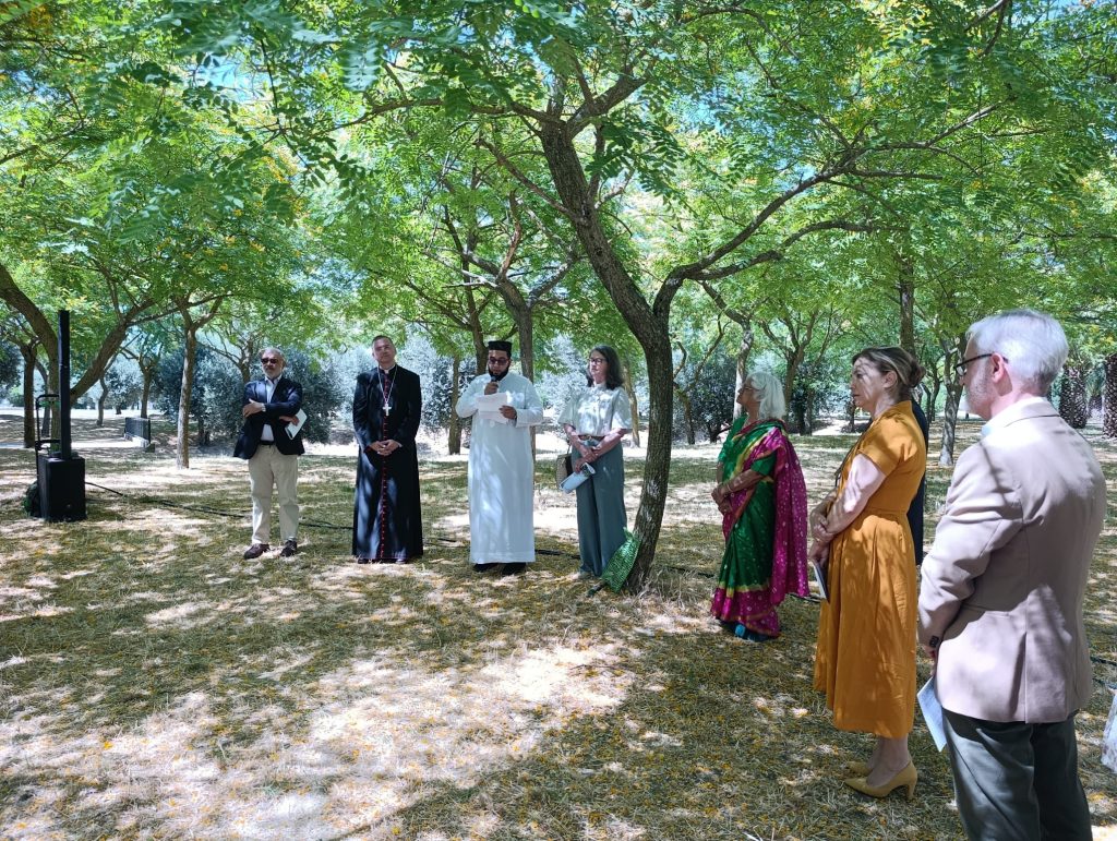 PHOTO 2025 06 26 16 26 54