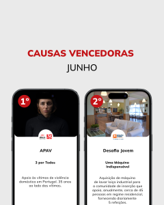 Post 1 Causas Vencedoras